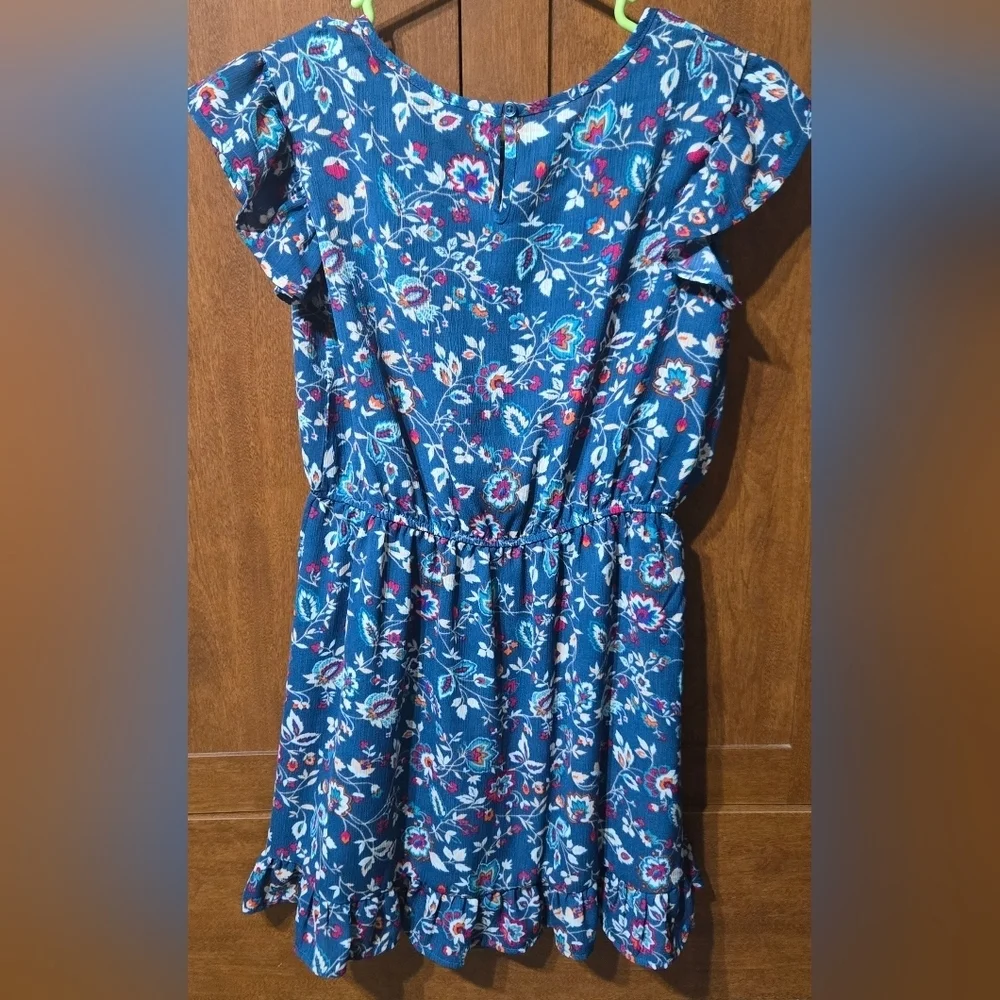 Wonder Nation Blue Floral Kids Dress